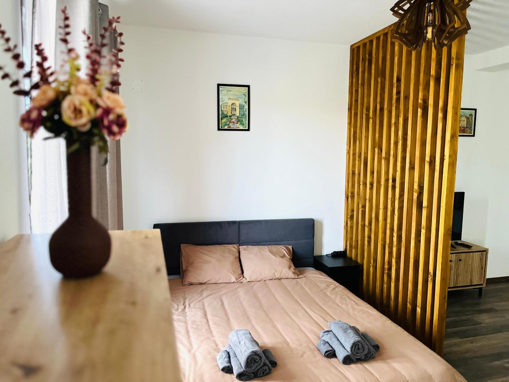 Apartament Studio Bian Timişoara Exteriör bild
